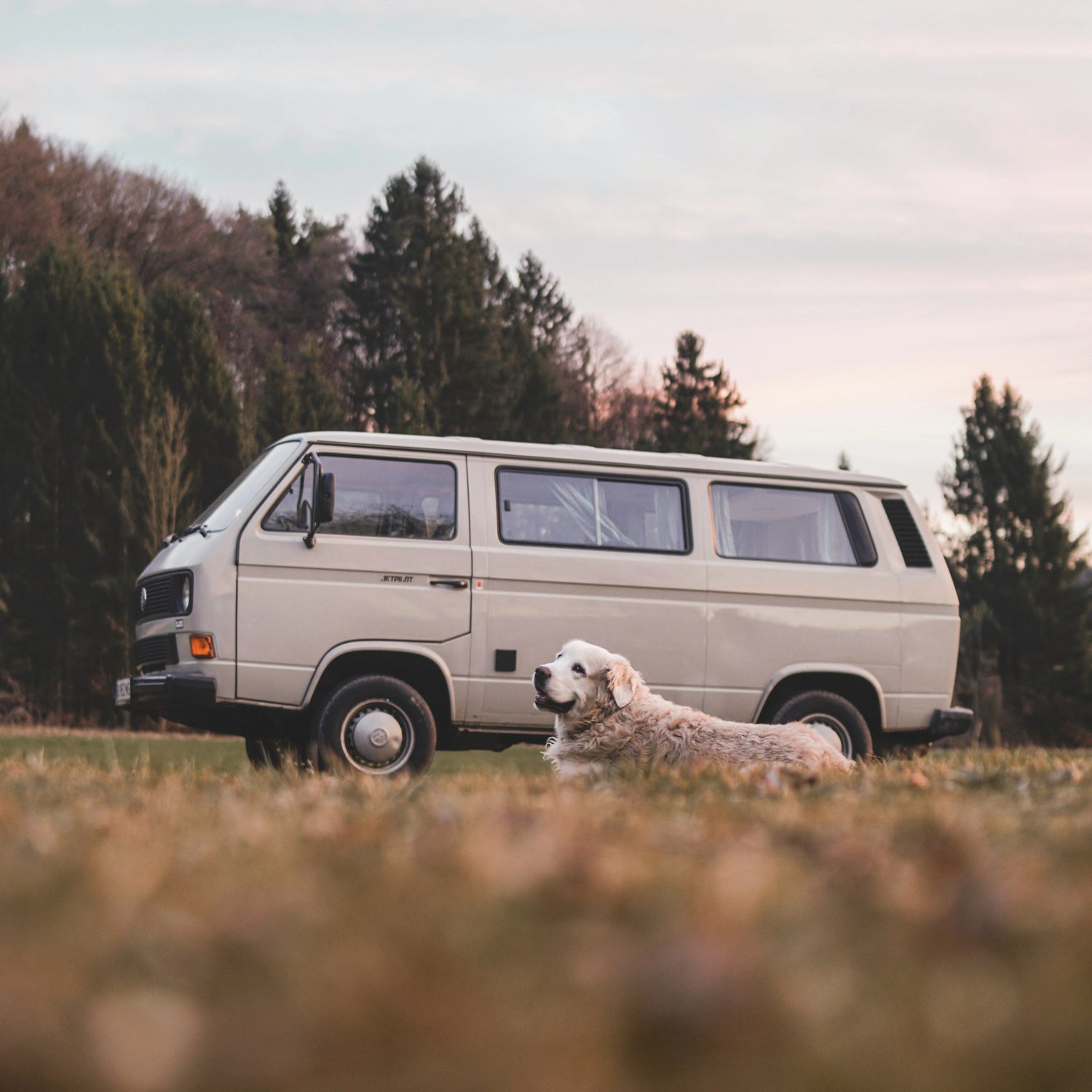 Pet Travel Essentials