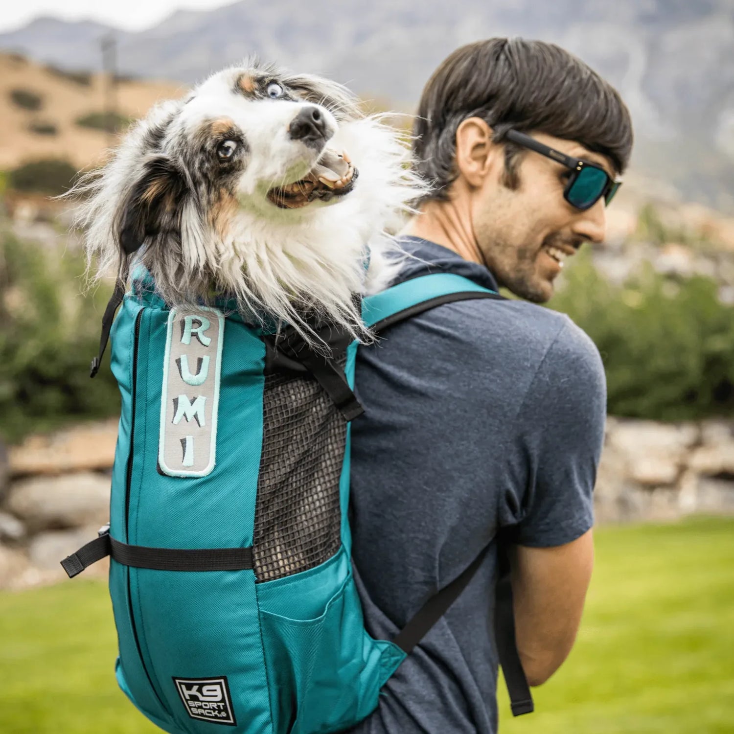 Pet Carriers