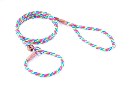 Nylon Slip Lead With Stopper (4 ft  x 1/4in or 6mm)