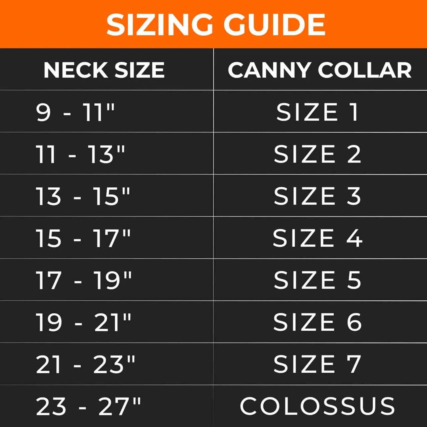 Canny Carabiners [pack of 2]